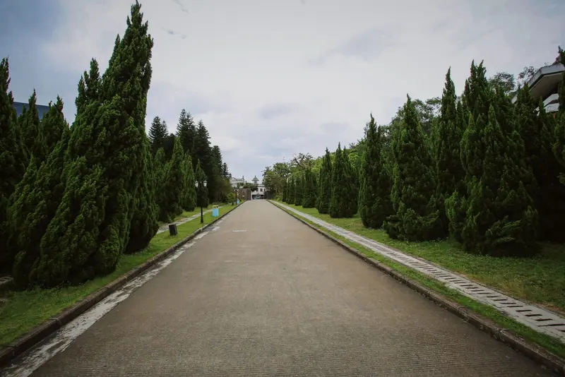 A concrete walkway through a tree-lined park