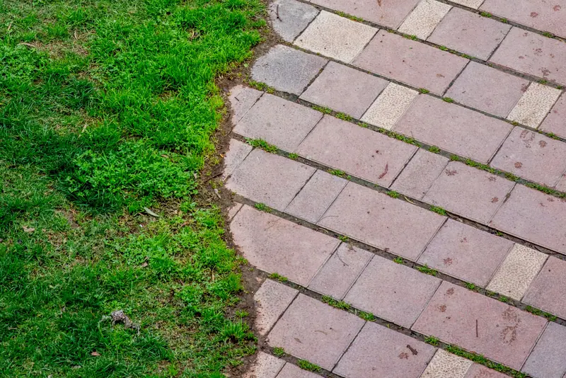 Brick hardscape paths set into a green lawn